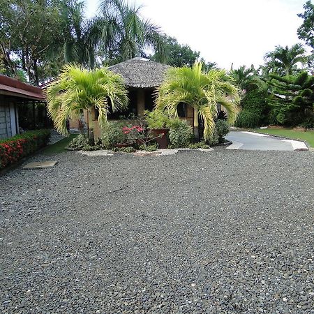 Susan'S Place Bed And Breakfast Puerto Princesa Bagian luar foto