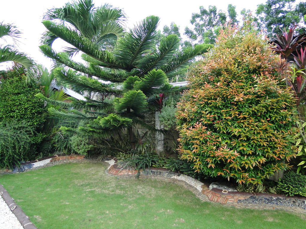 Susan'S Place Bed And Breakfast Puerto Princesa Bagian luar foto